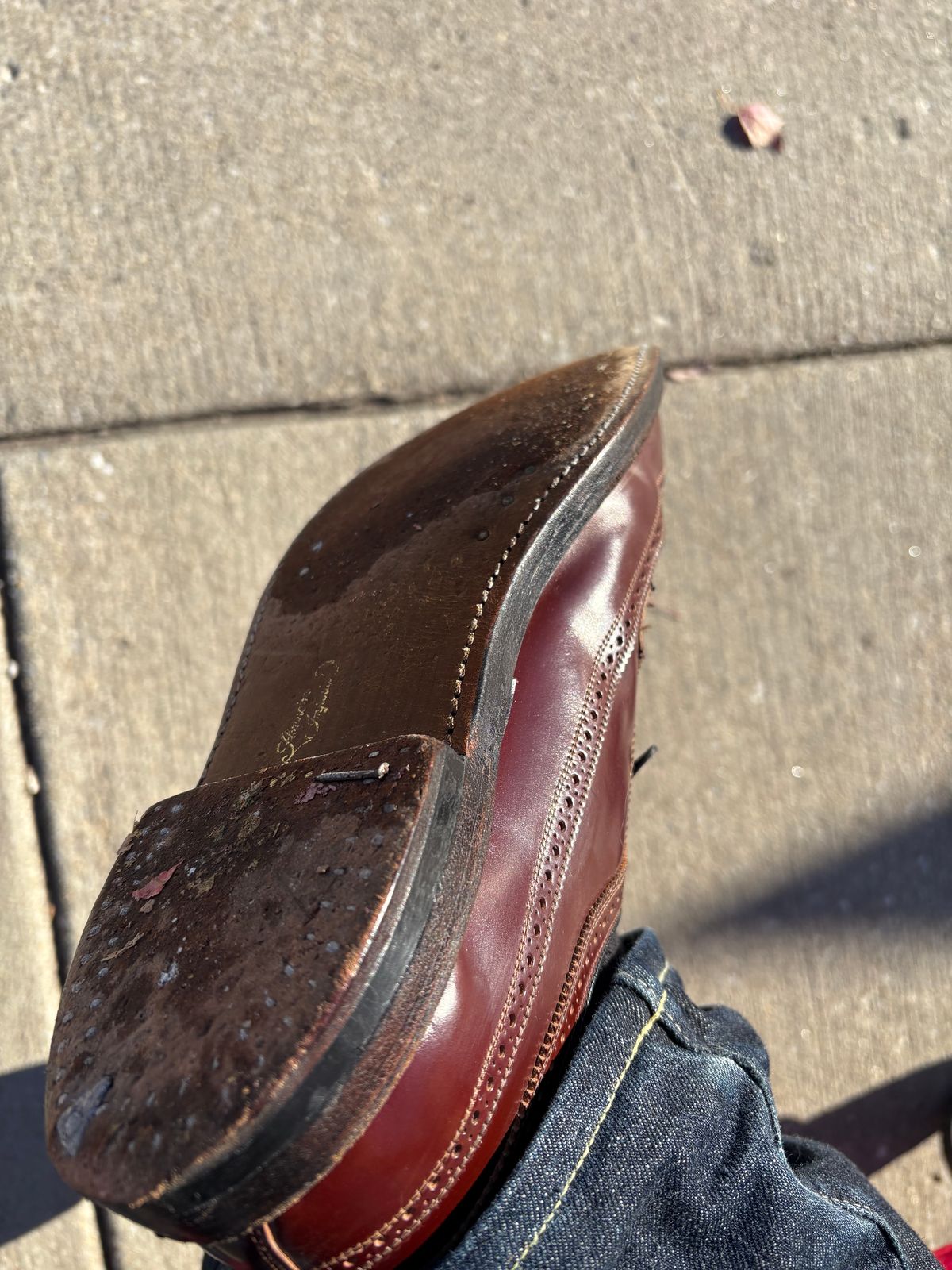 Photo by Shrimpy_grits on November 5, 2025 of the Florsheim Imperial Kenmoor 93605 in Horween Color 4 Shell Cordovan.