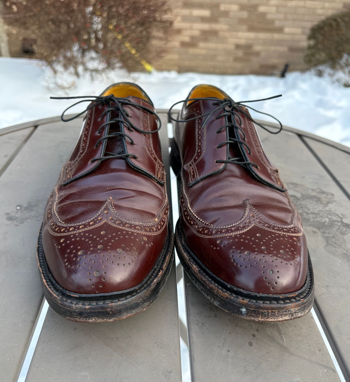 Photo by Shrimpy_grits on February 3, 2026 of the Florsheim Imperial Kenmoor 93605 in Horween Color 4 Shell Cordovan.