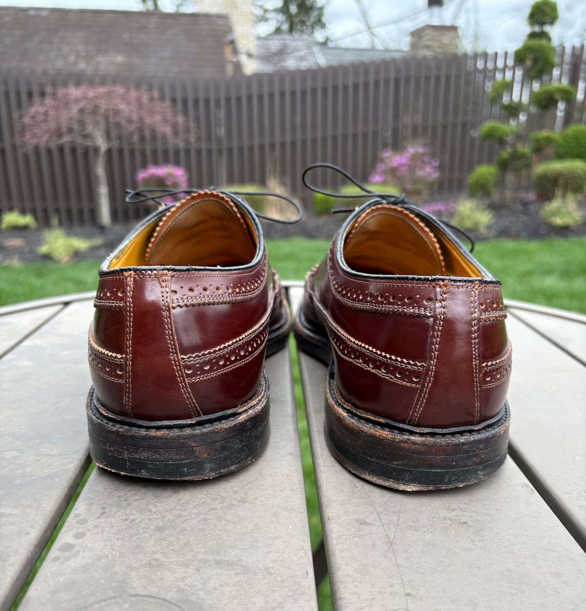 Photo by Shrimpy_grits on April 5, 2026 of the Florsheim Imperial Kenmoor 93605 in Horween Color 4 Shell Cordovan.