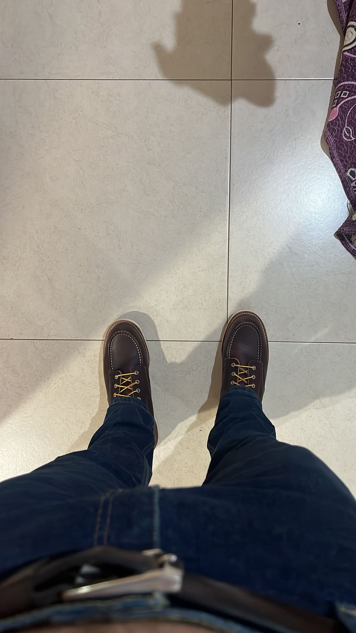 Photo by PVP on January 28, 2024 of the Red Wing 6-Inch Classic Moc in S.B. Foot Briar Oil Slick.