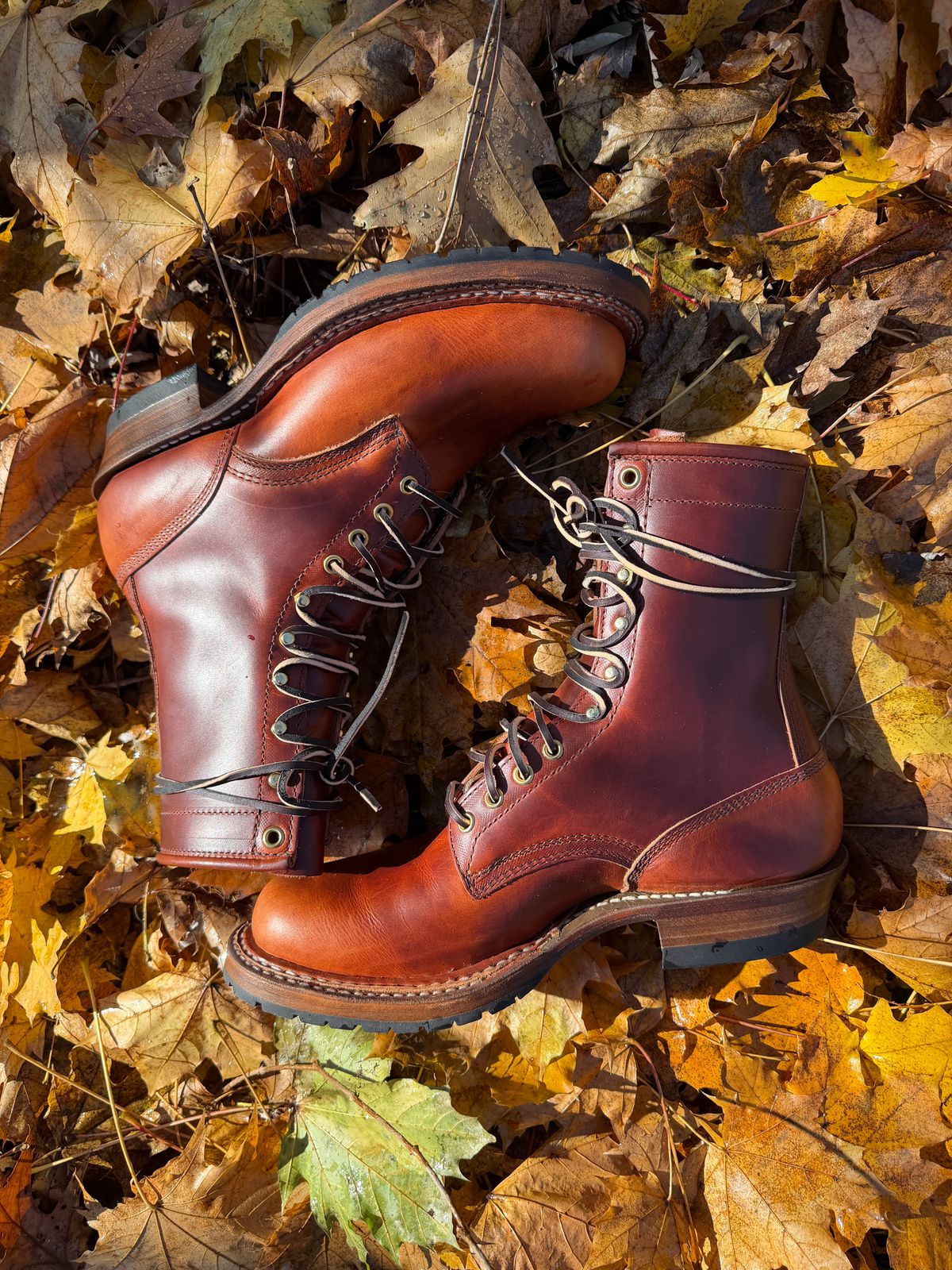 Photo by omar562 on November 16, 2025 of the White's Bounty Hunter in Wickett & Craig Tan Oiled Latigo.