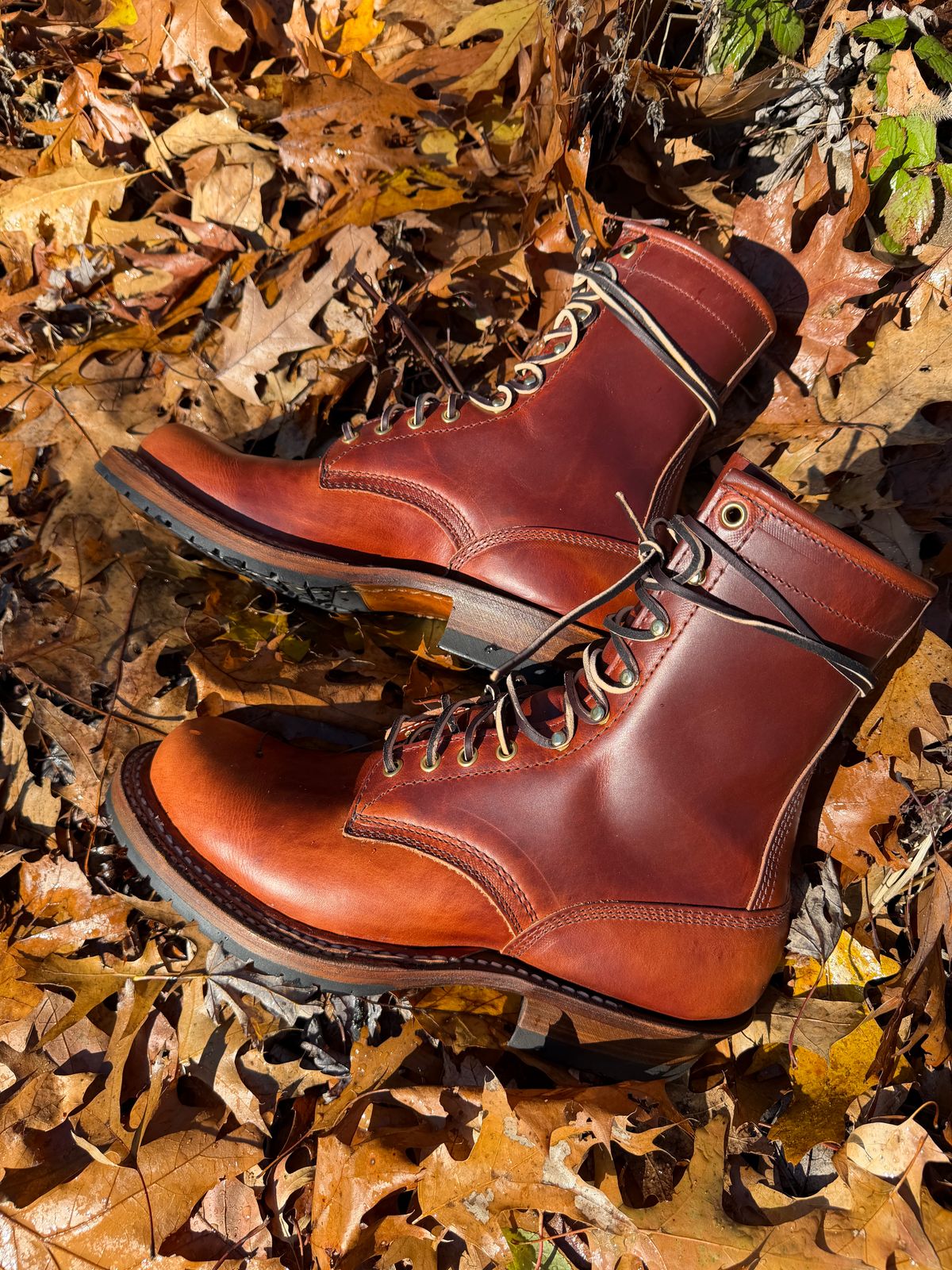 Photo by omar562 on November 16, 2025 of the White's Bounty Hunter in Wickett & Craig Tan Oiled Latigo.