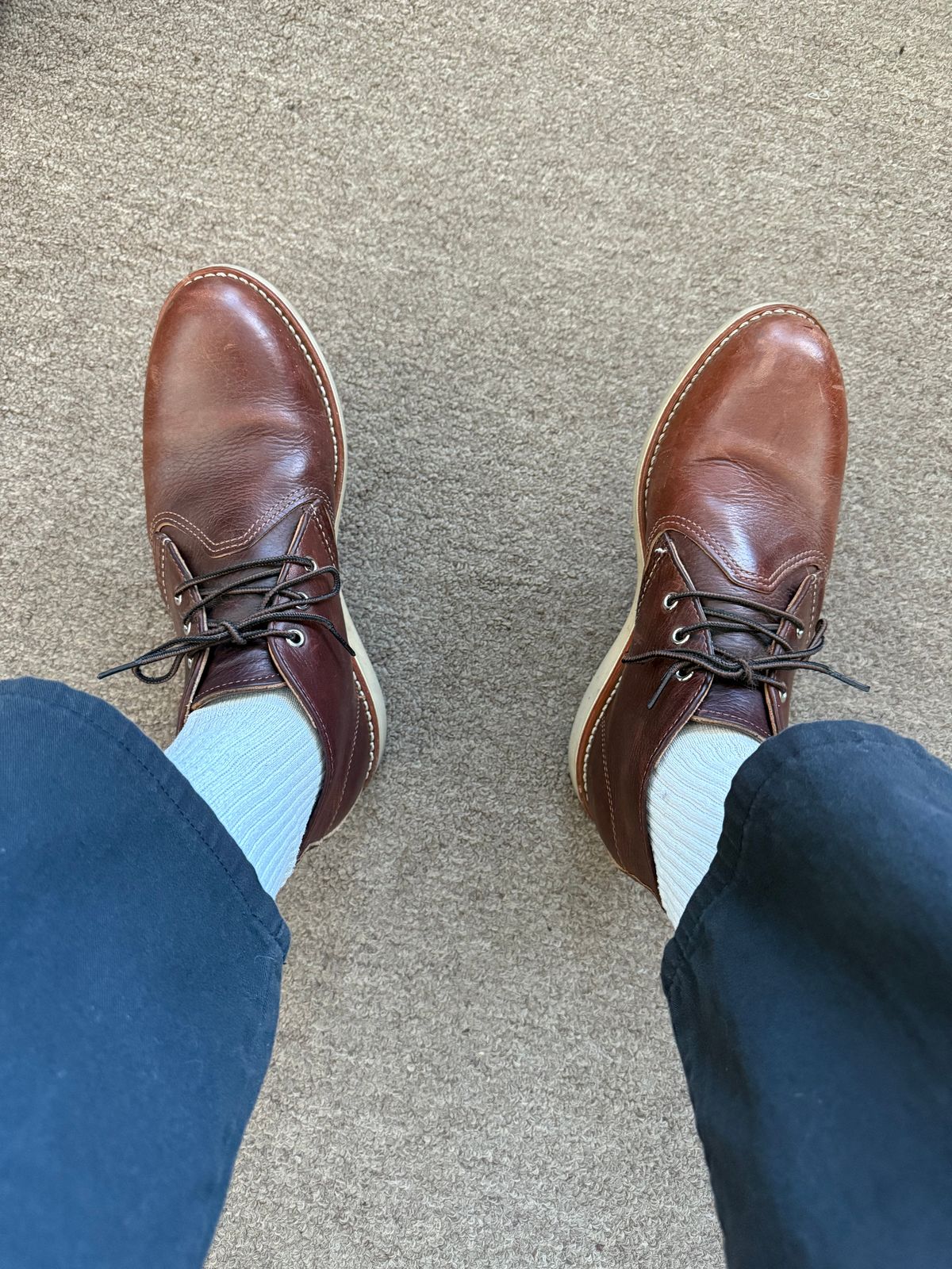 Photo by rb_sampson on November 25, 2025 of the Red Wing Work Chukka in S.B. Foot Briar Oil Slick.