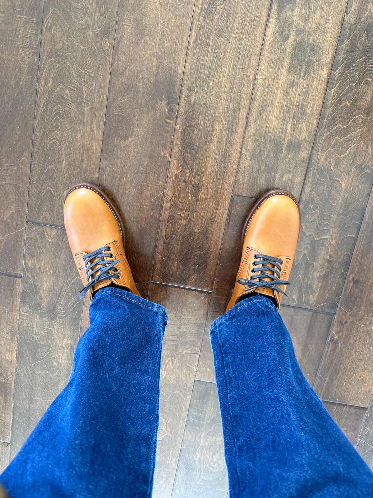 Photo by rb_sampson on April 15, 2023 of the Red Wing Beckman Oxford in S.B. Foot Chestnut Featherstone.