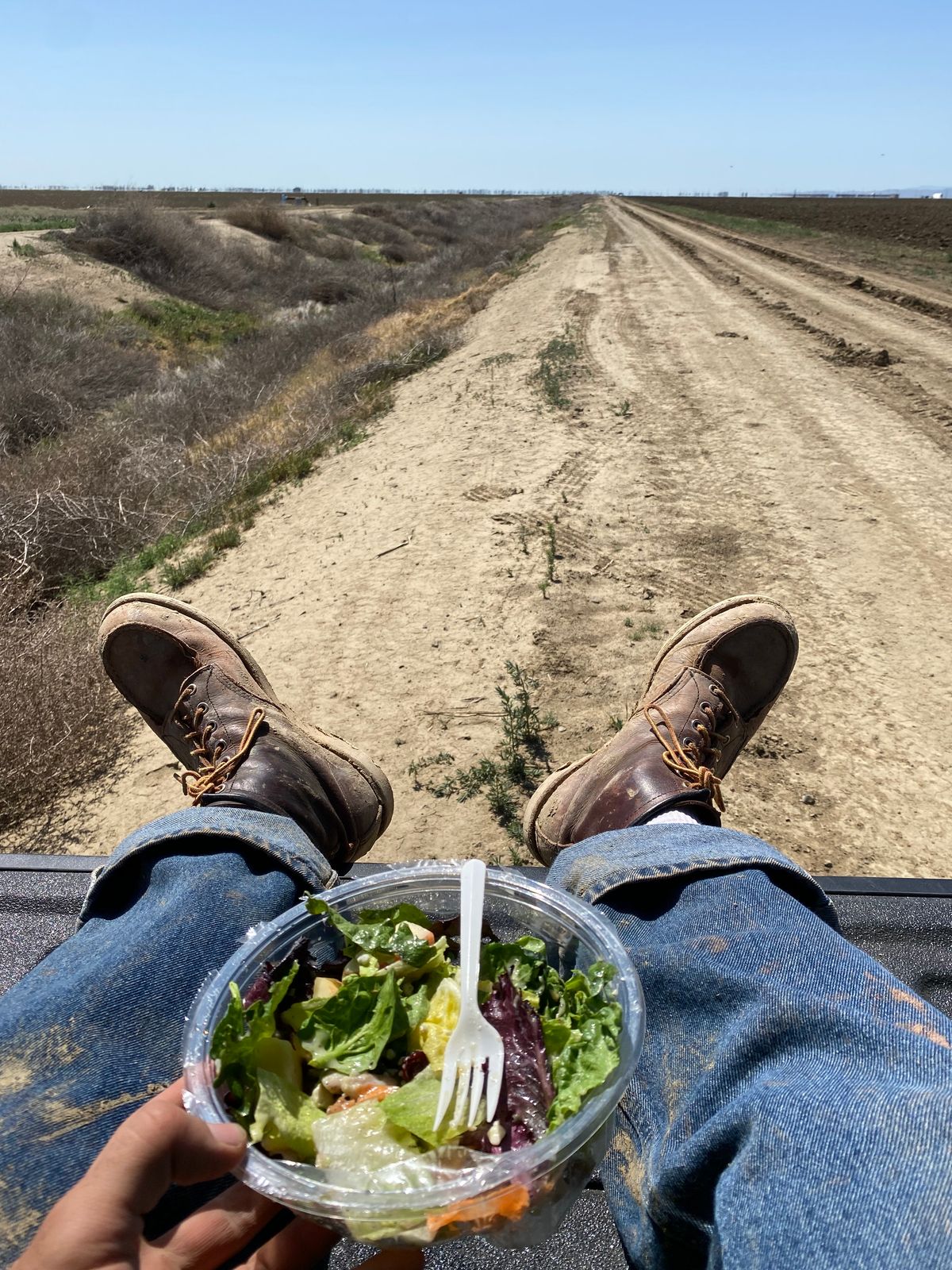 Photo by rb_sampson on April 5, 2022 of the Red Wing 6-Inch Classic Moc in S.B. Foot Briar Oil Slick.