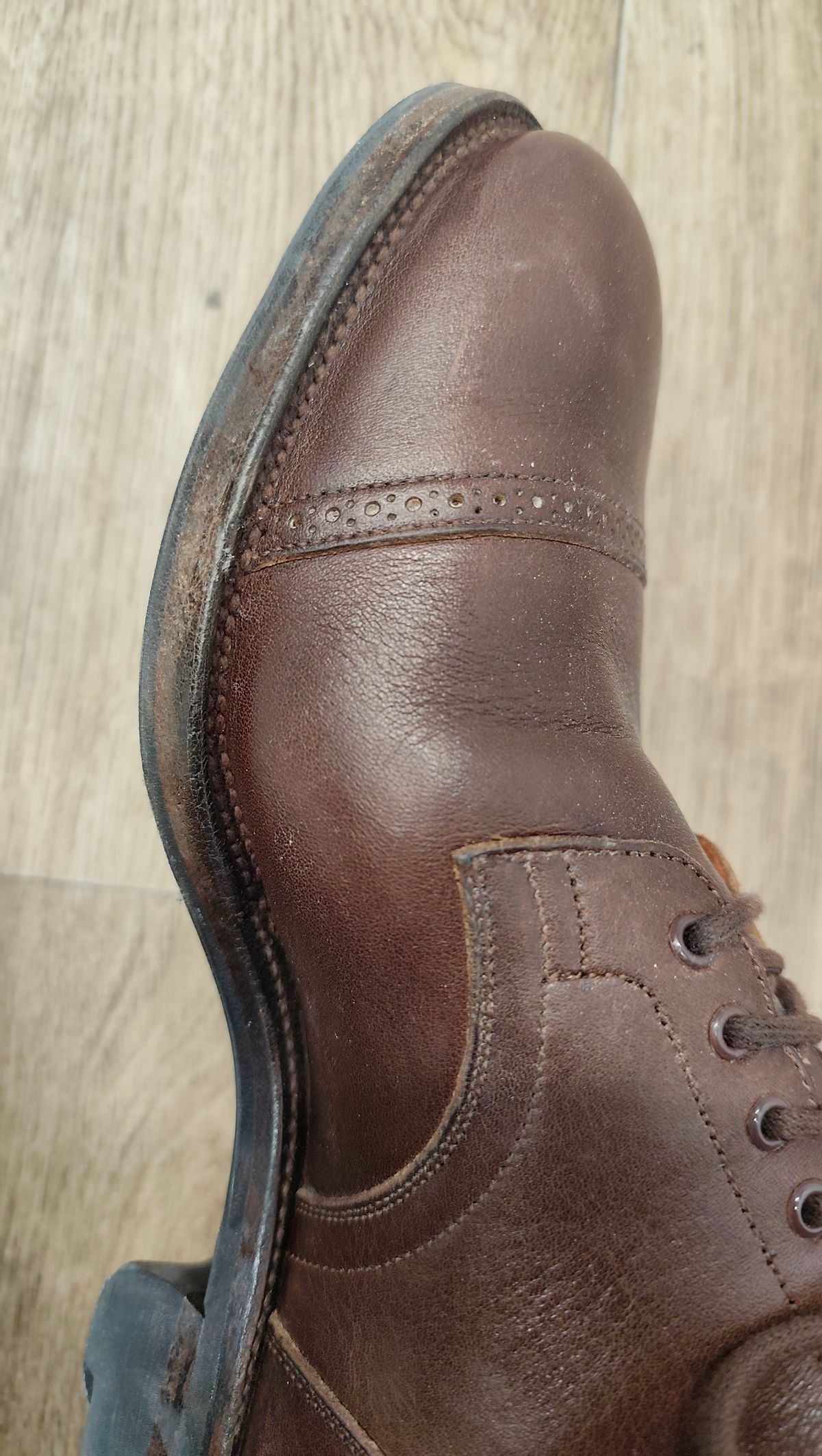 Photo by olgi on February 3, 2026 of the Viberg Service Boot BCT in Tochigi Chocolate.