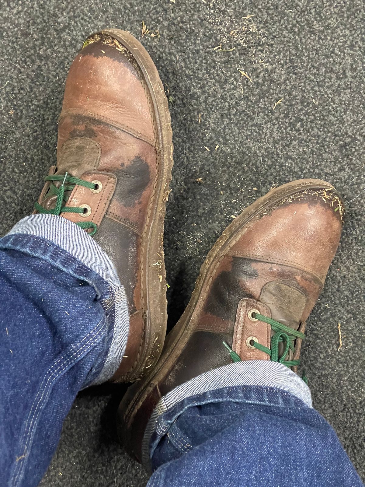 Photo by Scope75 on January 20, 2025 of the Jim Green African Ranger in African Buffalo Skin.