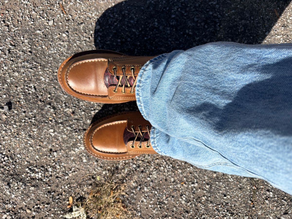 Photo by ZFitzGolf on October 28, 2025 of the White's Perry 8" Select in Seidel Natural Double Shot.