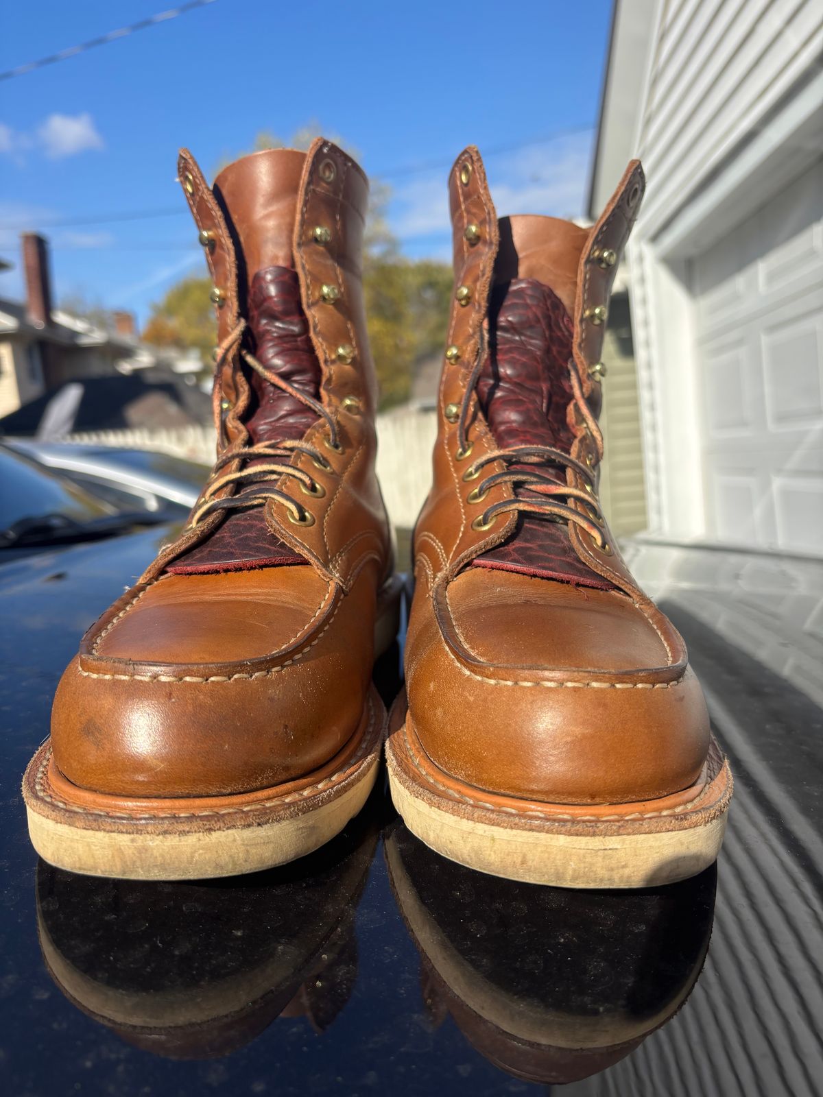 Photo by ZFitzGolf on November 1, 2025 of the White's Perry 8" Select in Seidel Natural Double Shot.