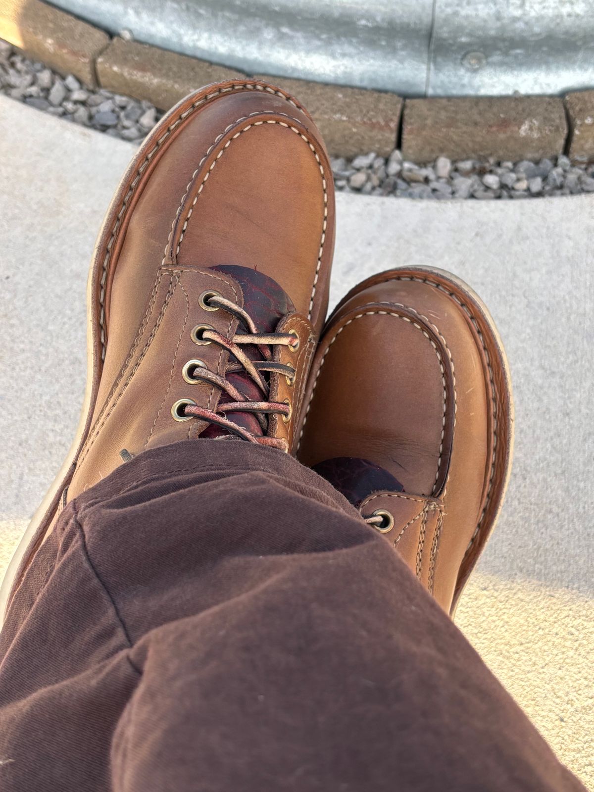 Photo by ZFitzGolf on November 23, 2025 of the White's Perry 8" Select in Seidel Natural Double Shot.