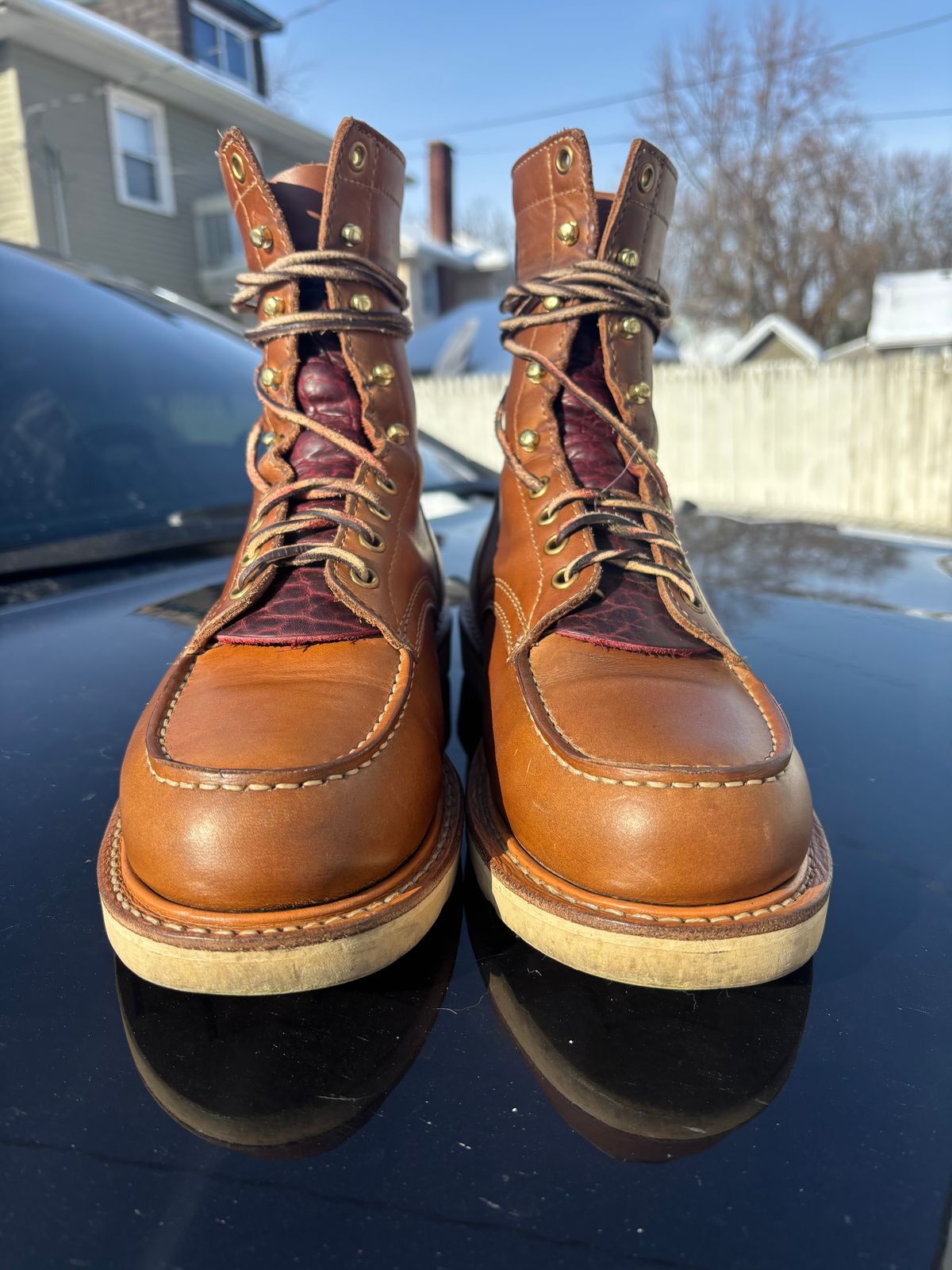 Photo by ZFitzGolf on December 1, 2025 of the White's Perry 8" Select in Seidel Natural Double Shot.