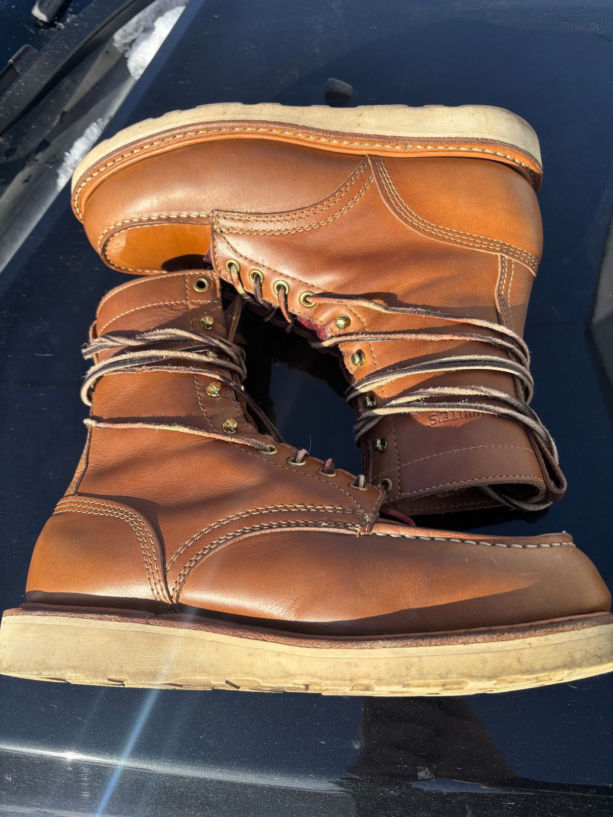 Photo by ZFitzGolf on December 1, 2025 of the White's Perry 8" Select in Seidel Natural Double Shot.