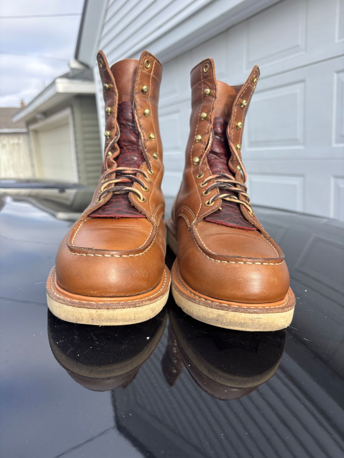 Photo by ZFitzGolf on January 4, 2026 of the White's Perry 8" Select in Seidel Natural Double Shot.