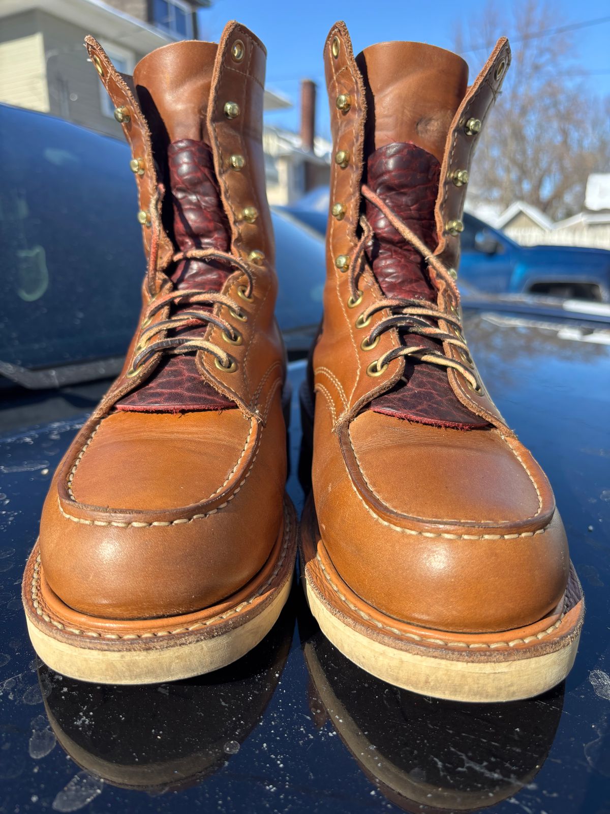 Photo by ZFitzGolf on February 1, 2026 of the White's Perry 8" Select in Seidel Natural Double Shot.