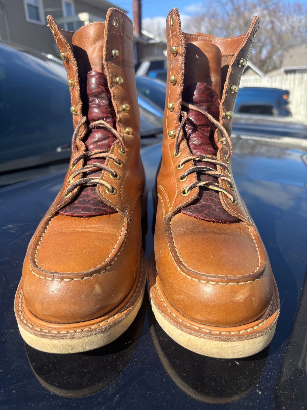 Photo by ZFitzGolf on March 1, 2026 of the White's Perry 8" Select in Seidel Natural Double Shot.