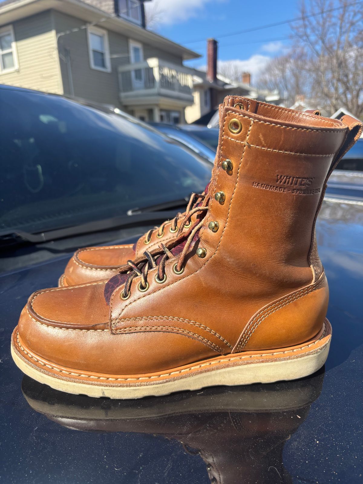 Photo by ZFitzGolf on March 1, 2026 of the White's Perry 8" Select in Seidel Natural Double Shot.