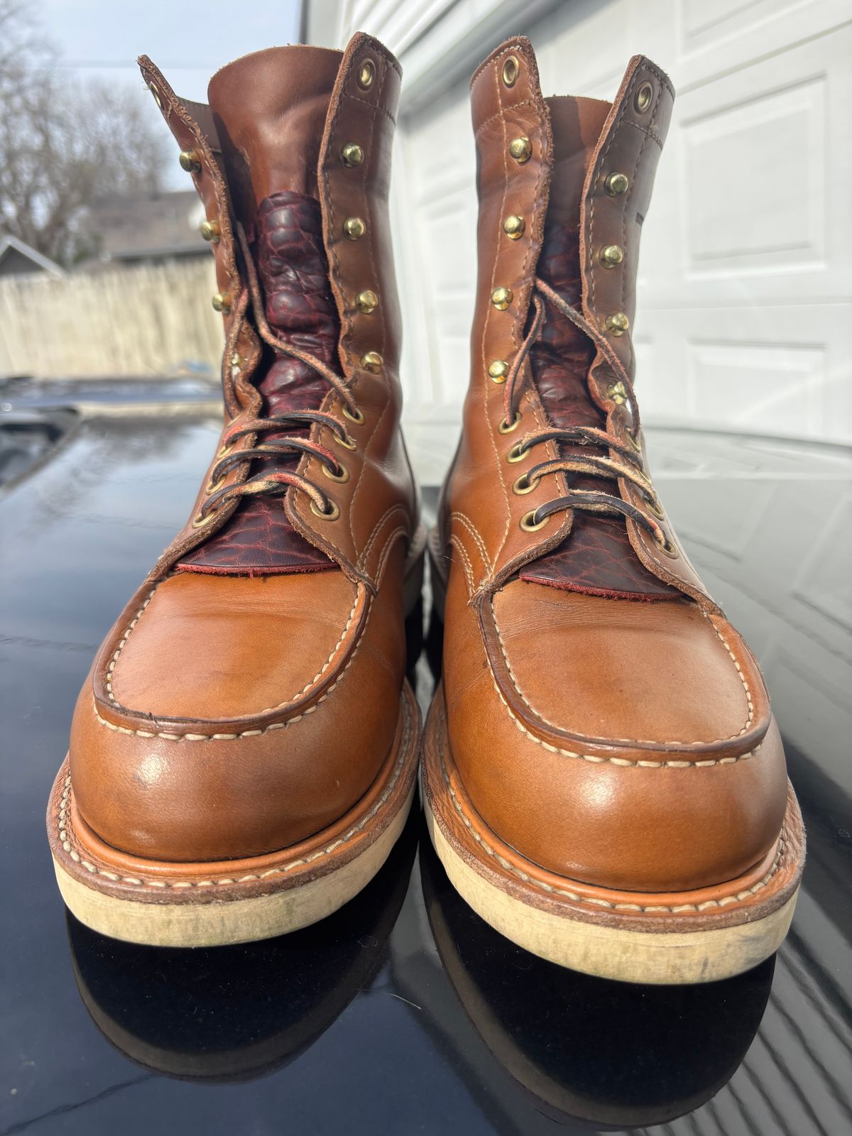 Photo by ZFitzGolf on April 2, 2026 of the White's Perry 8" Select in Seidel Natural Double Shot.