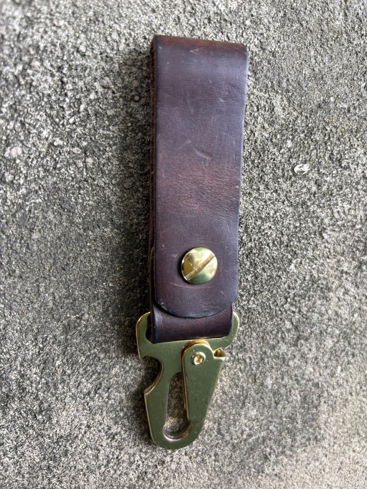 Photo by ZFitzGolf on July 8, 2025 of the Nicks Key Clip in Natural Predator.