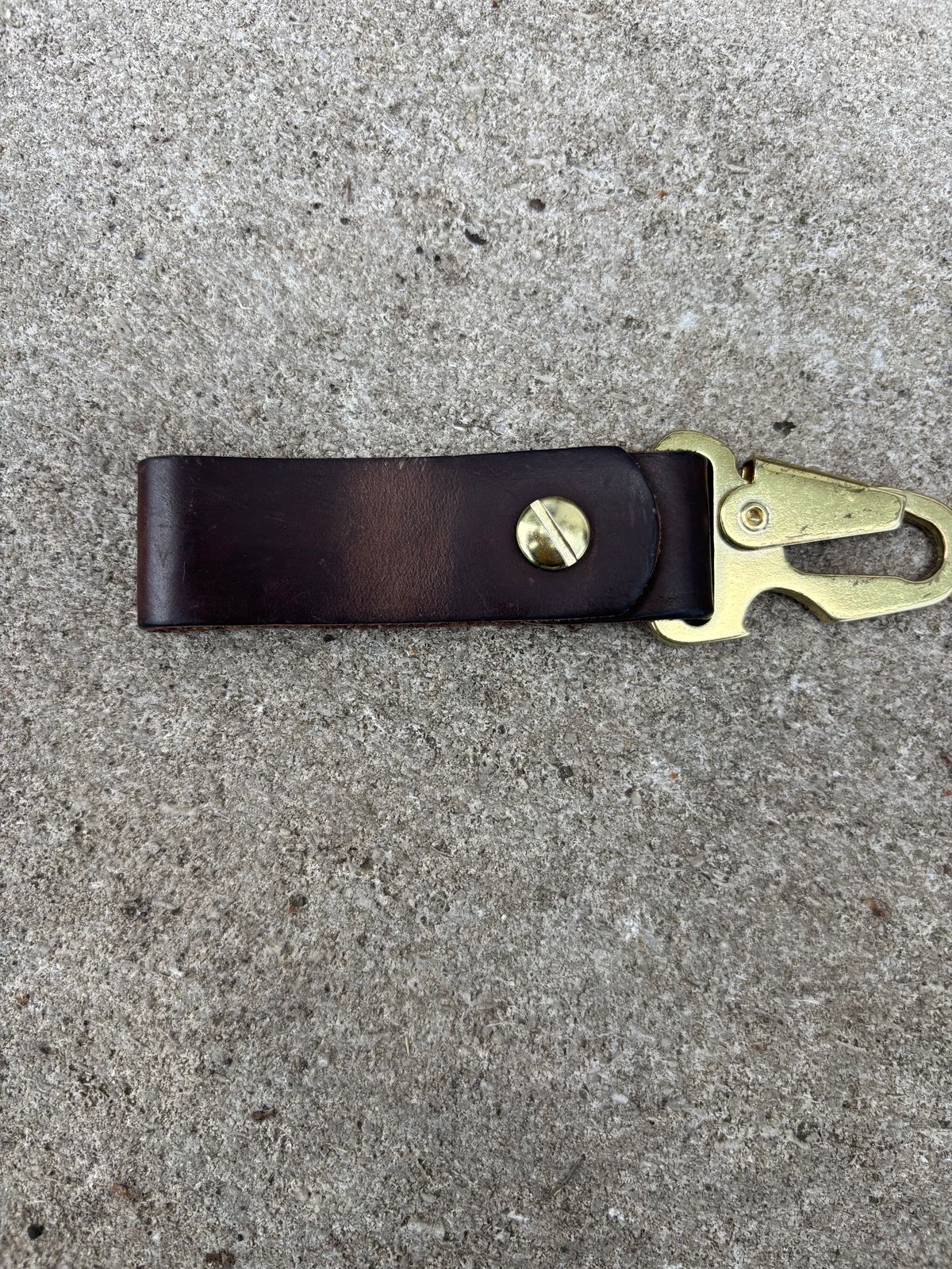 Photo by ZFitzGolf on July 8, 2025 of the Nicks Key Clip in Natural Predator.