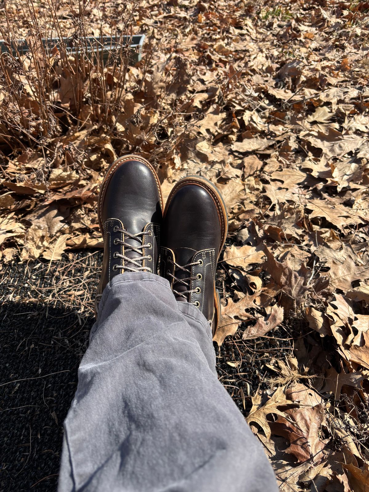 Photo by ZFitzGolf on February 27, 2026 of the Truman Plain Toe Boot in Black Cypress Teacore.