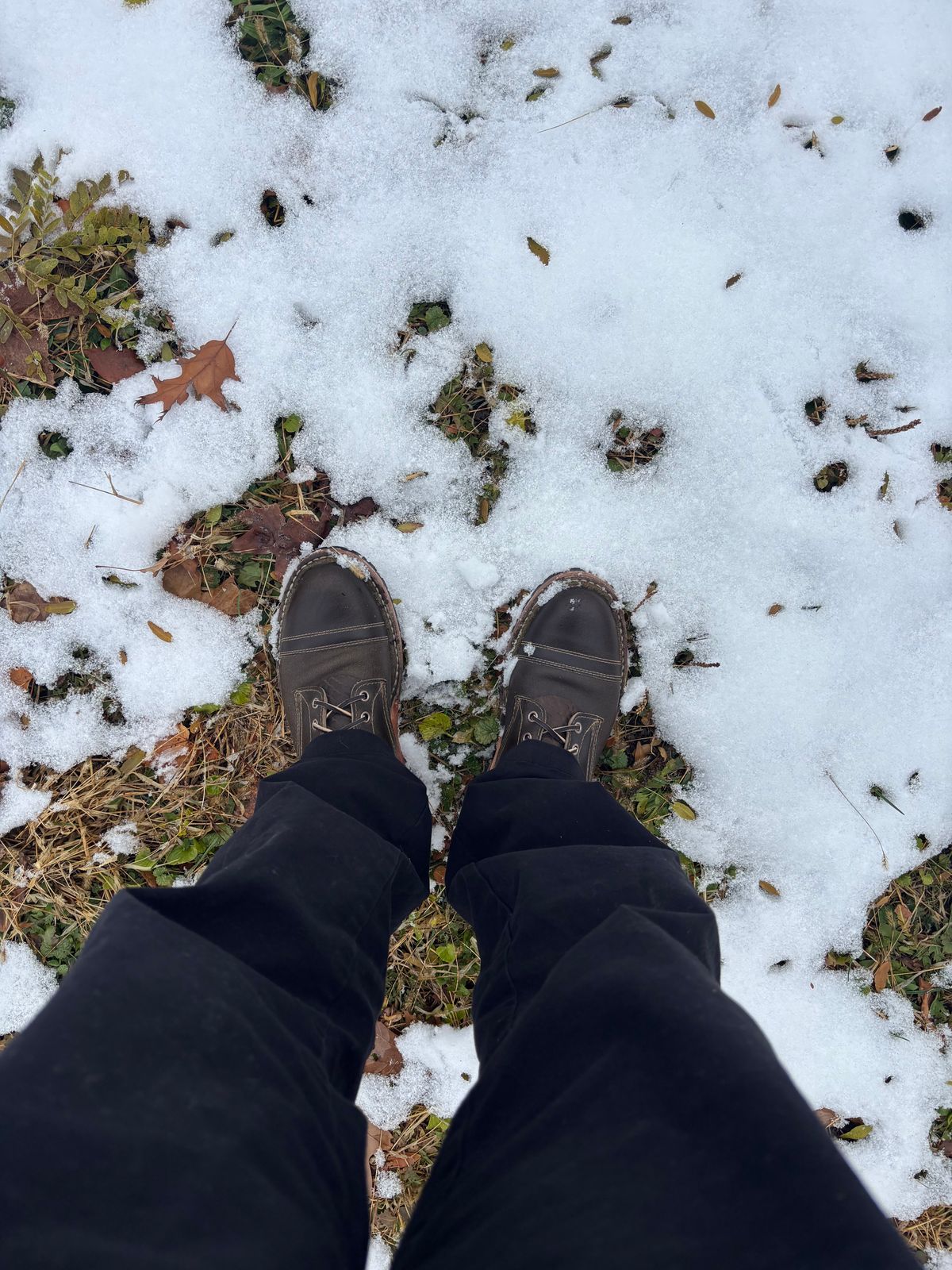 Photo by ZFitzGolf on November 11, 2025 of the White's MP-Sherman Toe Cap in Horween Olive Waxed Flesh.