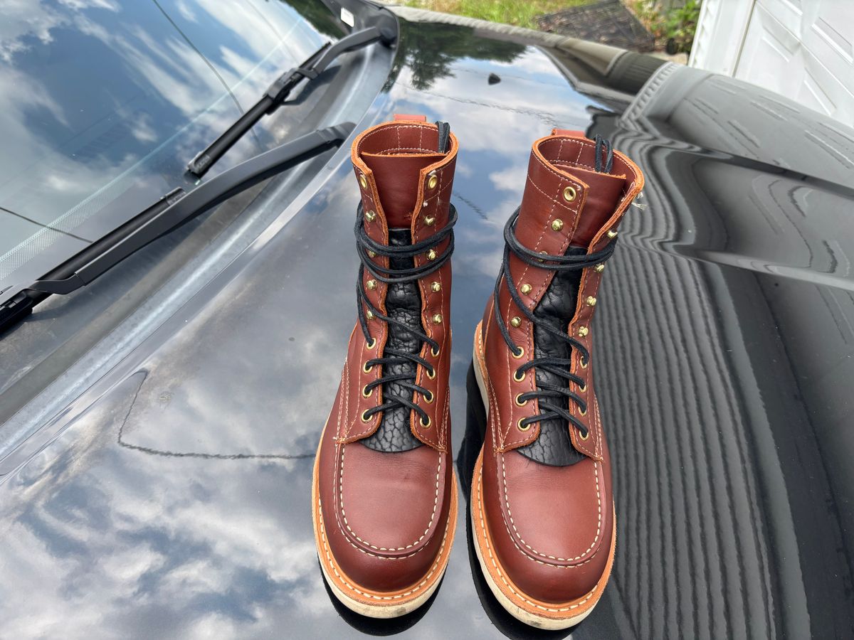 Photo by ZFitzGolf on July 8, 2025 of the White's Perry 8" in Seidel Red Dog Oil Tan.