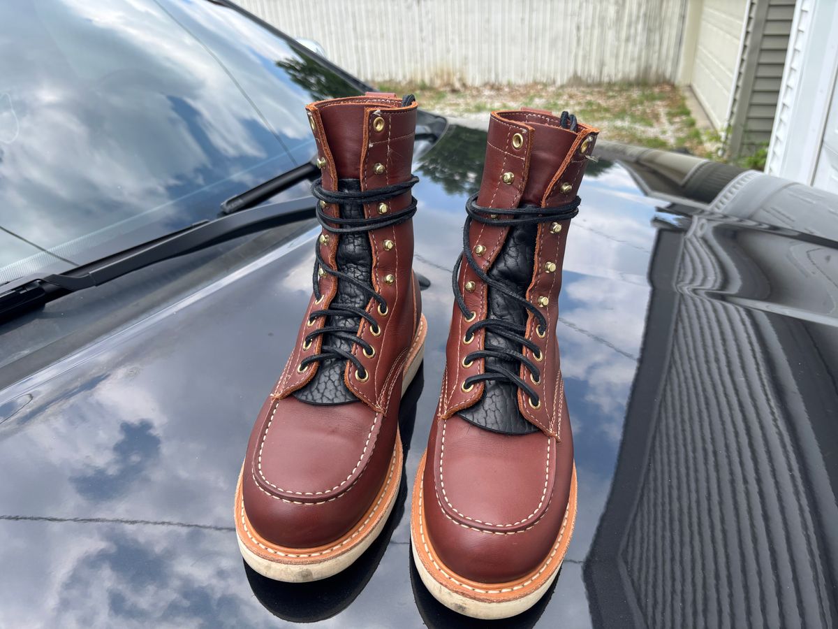 Photo by ZFitzGolf on July 8, 2025 of the White's Perry 8" in Seidel Red Dog Oil Tan.