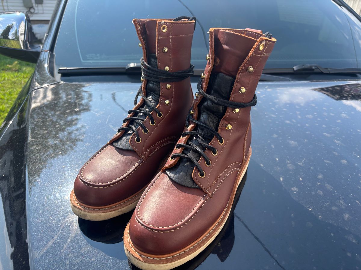 Photo by ZFitzGolf on August 11, 2025 of the White's Perry 8" in Seidel Red Dog Oil Tan.