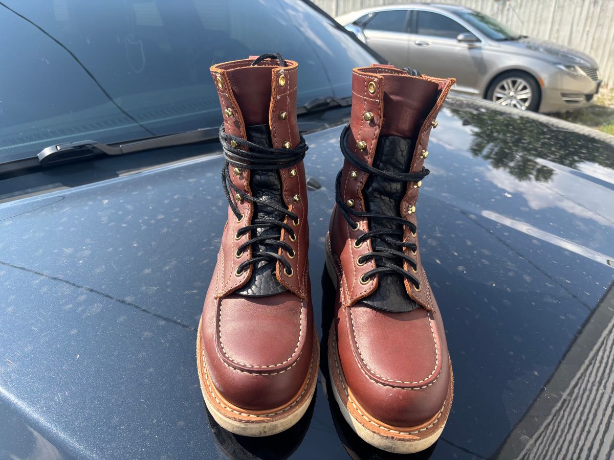 Photo by ZFitzGolf on August 11, 2025 of the White's Perry 8" in Seidel Red Dog Oil Tan.