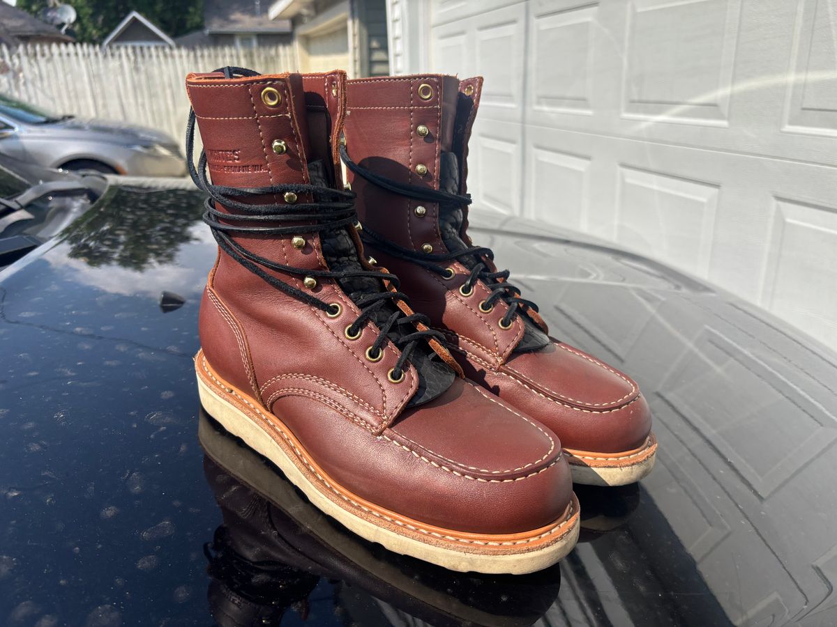 Photo by ZFitzGolf on August 11, 2025 of the White's Perry 8" in Seidel Red Dog Oil Tan.