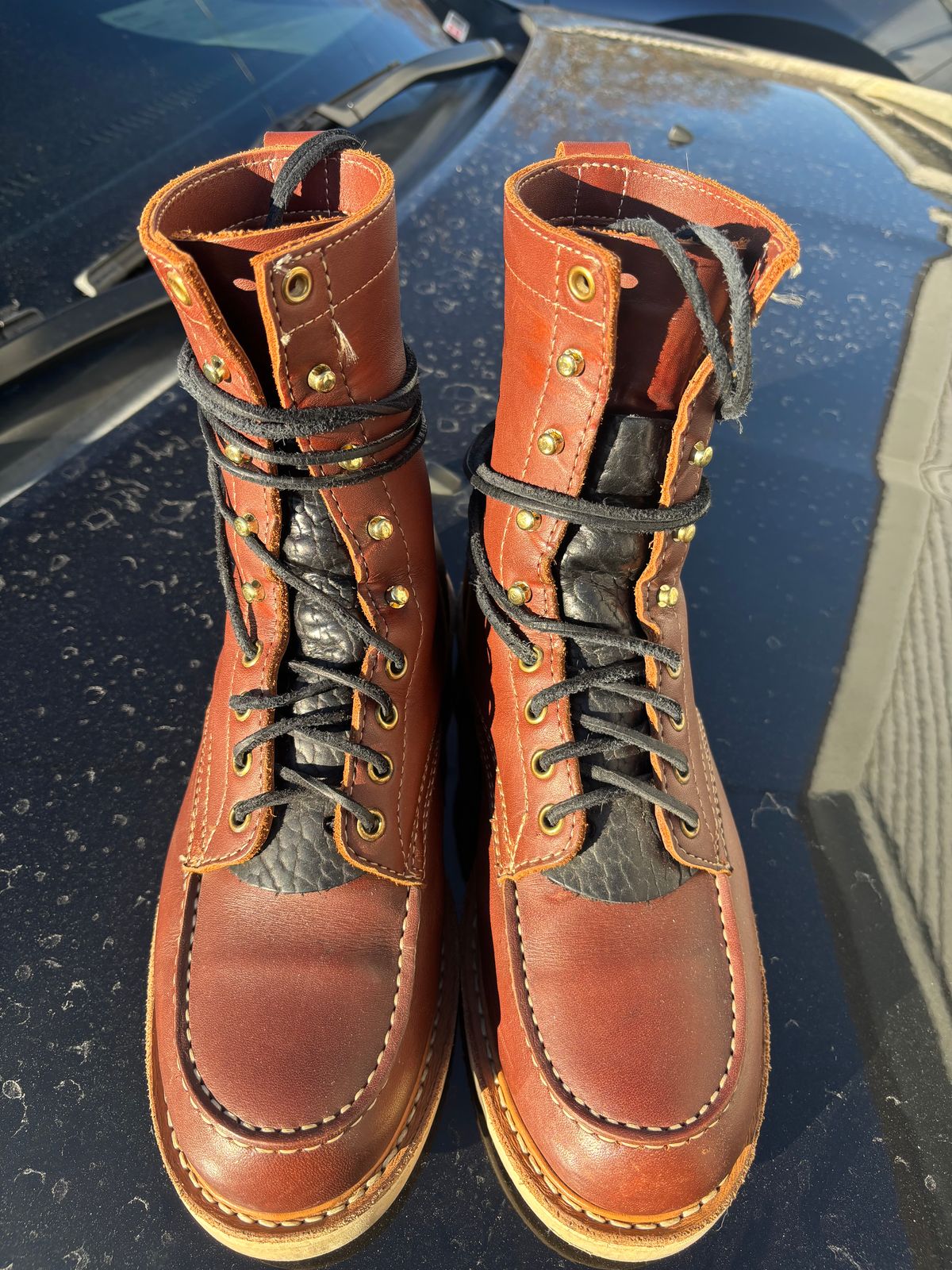 Photo by ZFitzGolf on December 21, 2025 of the White's Perry 8" in Seidel Red Dog Oil Tan.