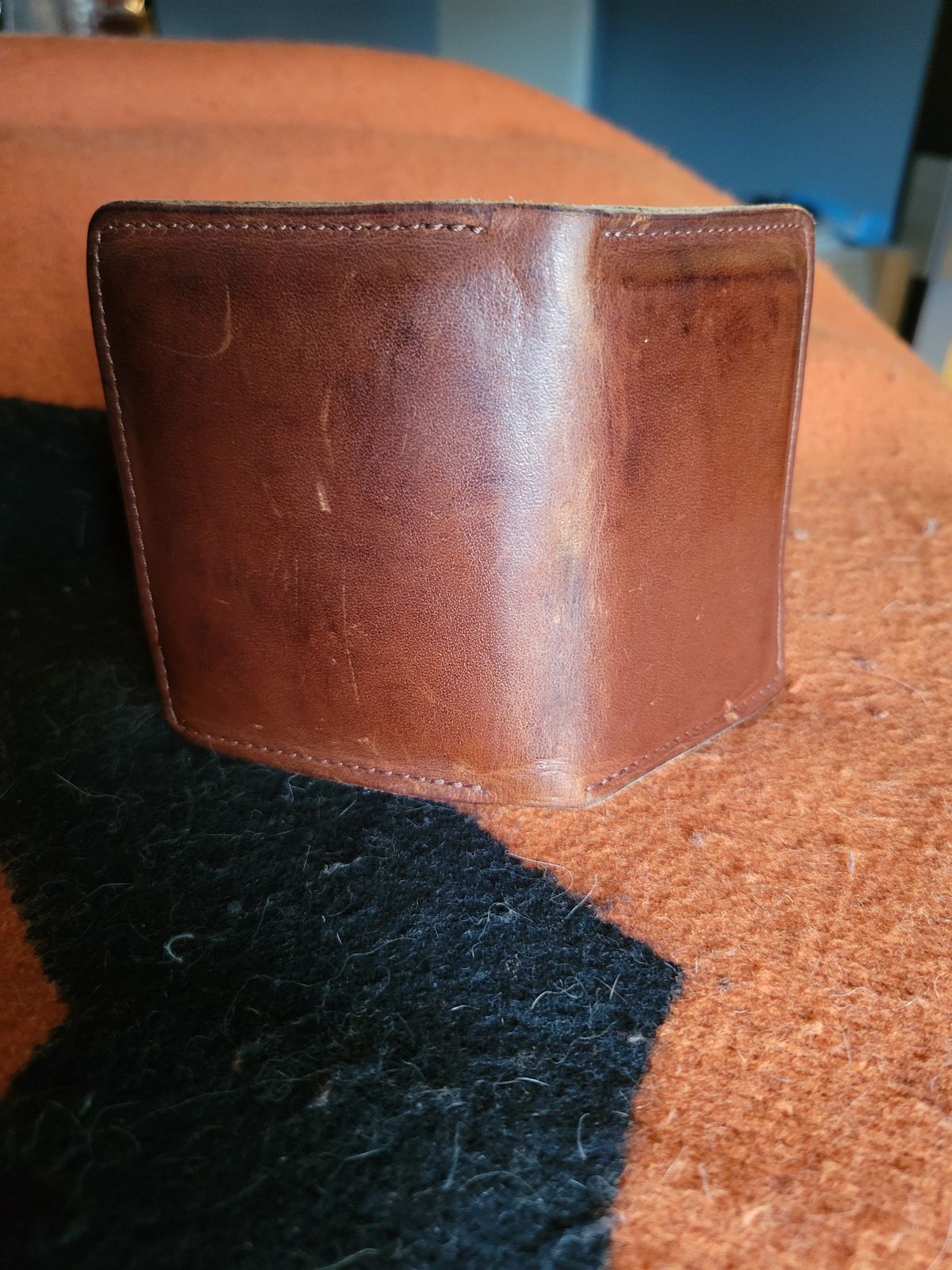 Photo by Cecilk on March 1, 2026 of the Ashland Leather Vertical Bugs Moran Wallet in Horween Brown Veg Tanned.