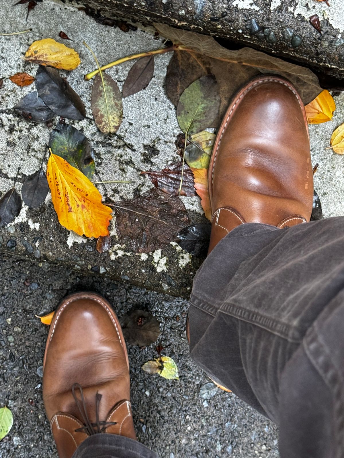 Photo by congressmancuff on November 3, 2024 of the White's Kinney Chukka in Horween Natural Chromexcel.