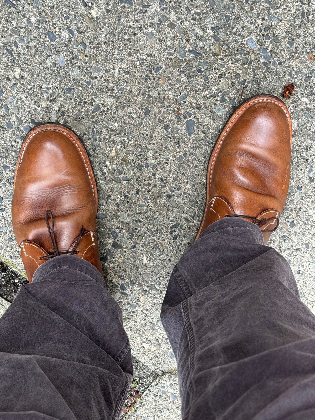 Photo by congressmancuff on November 3, 2024 of the White's Kinney Chukka in Horween Natural Chromexcel.