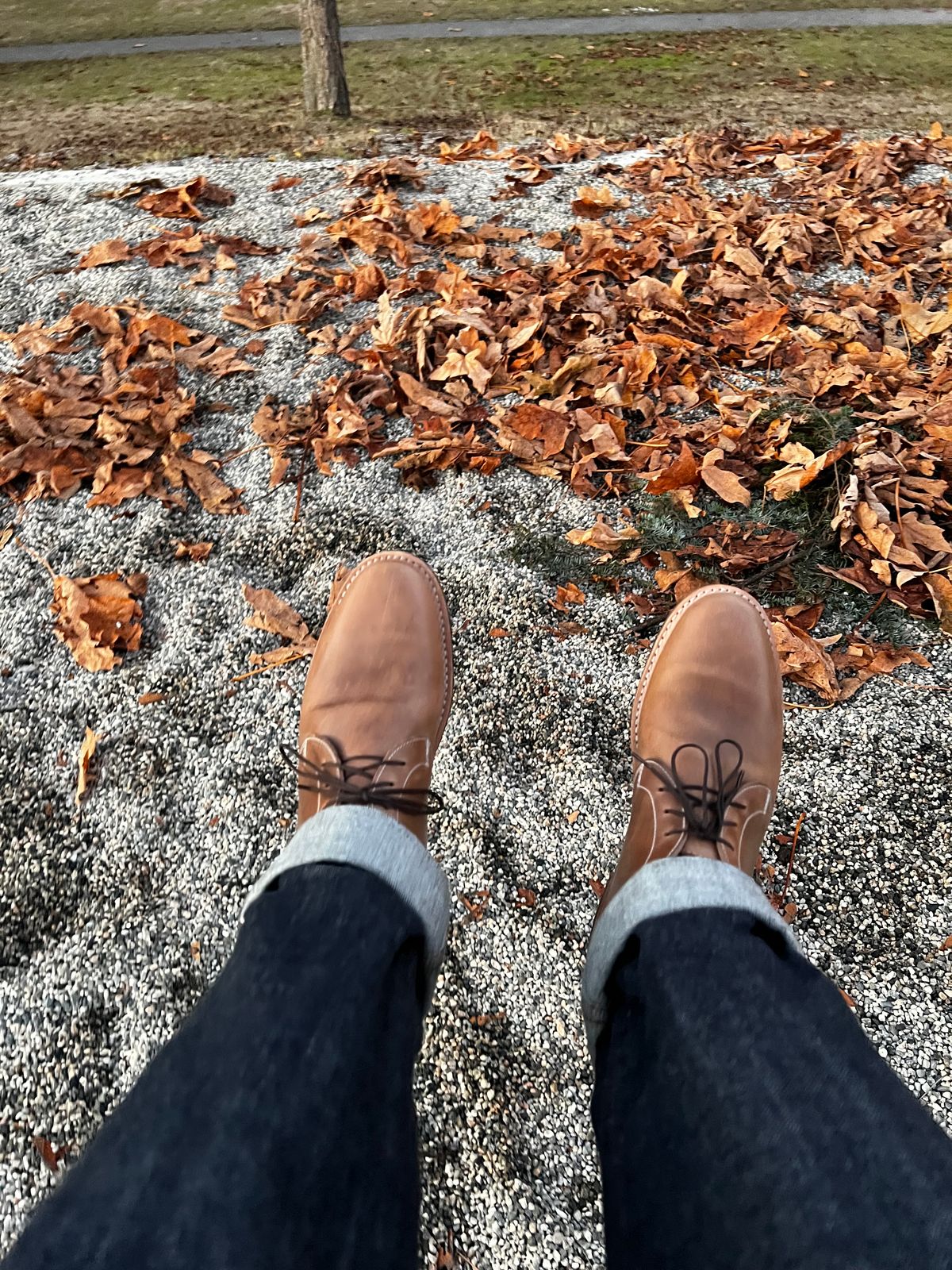 Photo by congressmancuff on November 14, 2022 of the White's Kinney Chukka in Horween Natural Chromexcel.