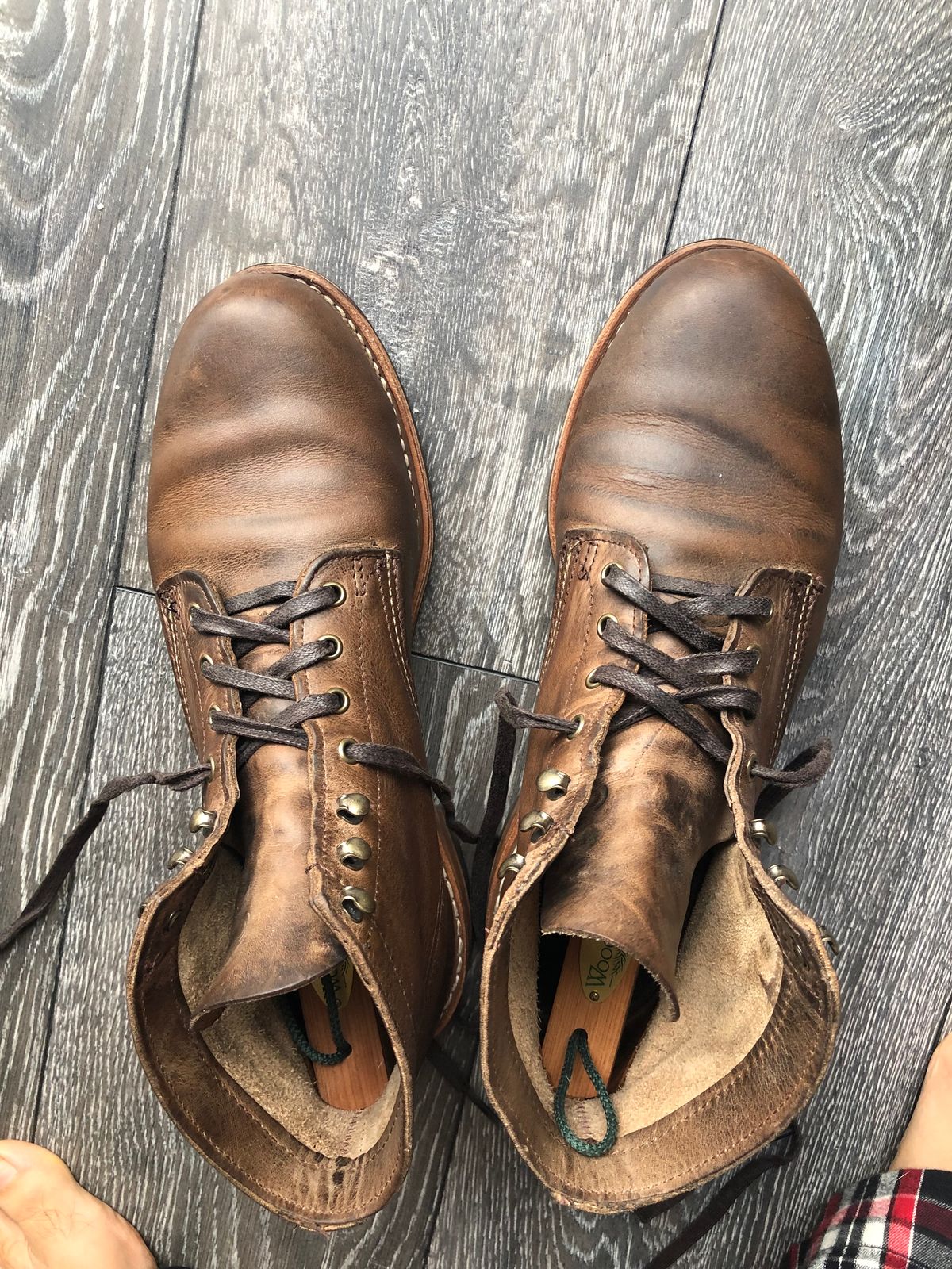 Photo by congressmancuff on February 16, 2019 of the Wolverine 1000 Mile Evans Boot in Horween Stone Chromexcel.