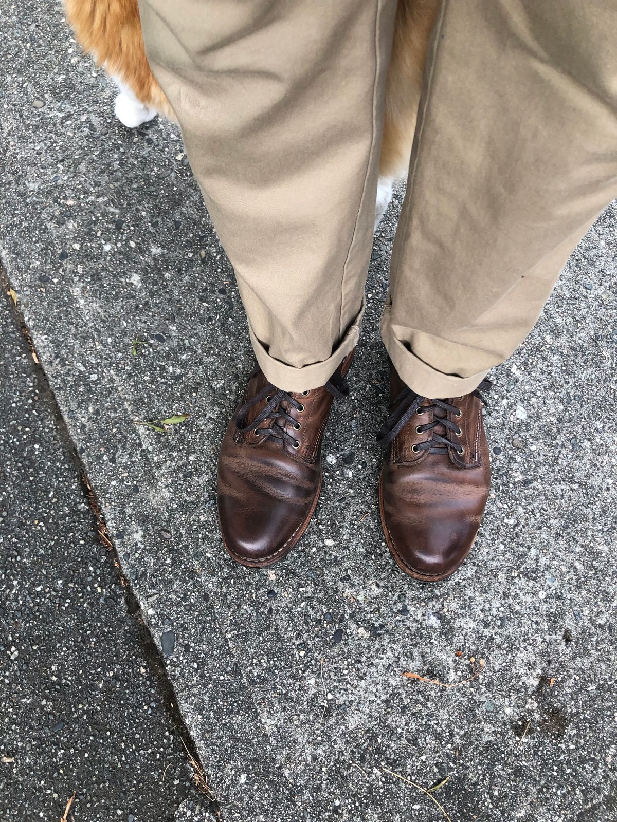 Photo by congressmancuff on August 11, 2019 of the Wolverine 1000 Mile Evans Boot in Horween Stone Chromexcel.