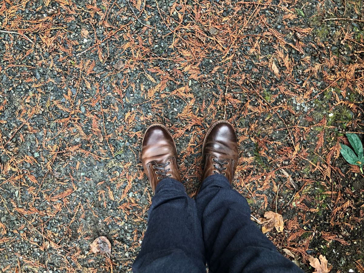 Photo by congressmancuff on December 1, 2019 of the Wolverine 1000 Mile Evans Boot in Horween Stone Chromexcel.