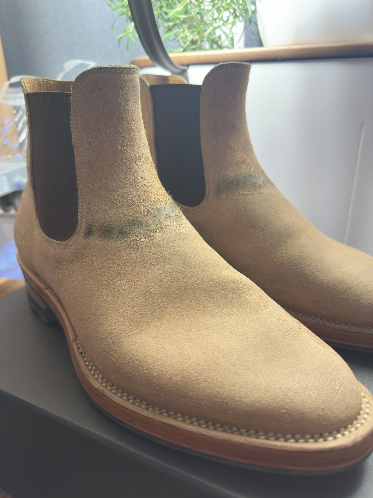 Photo by bbart on August 3, 2025 of the Briselblack The Seventh Chelsea Boot in Maryam Natural Horsebutt Roughout.