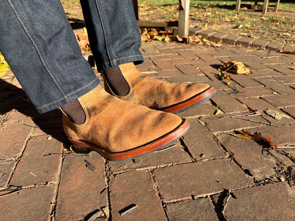 Photo by bbart on October 31, 2025 of the Briselblack The Seventh Chelsea Boot in Maryam Natural Horsebutt Roughout.