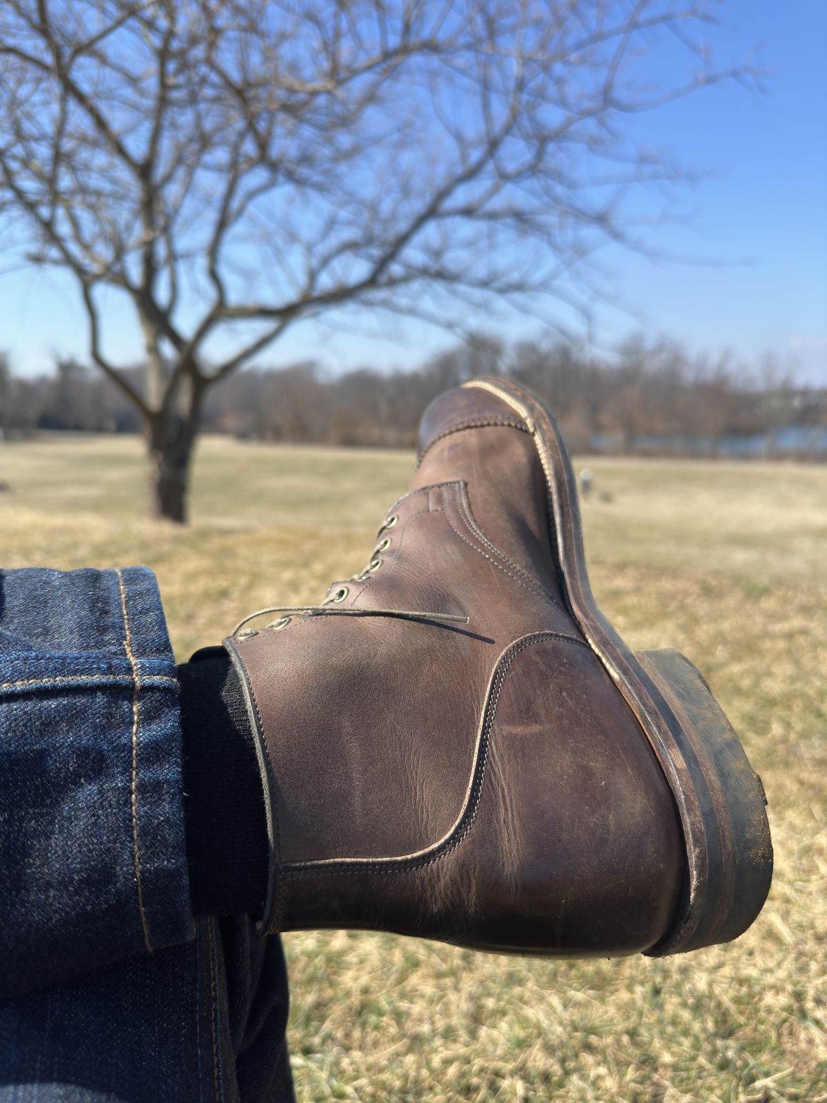 Photo by bbart on February 27, 2026 of the Viberg Service Boot PCT in Maryam 1071 Port Vitello Calf Nubuck.