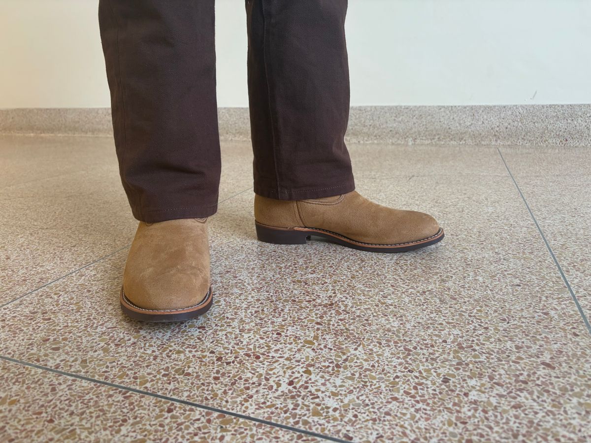 Photo by bbart on March 17, 2026 of the Red Wing Pecos in S.B. Foot Hawthorne Muleskinner.