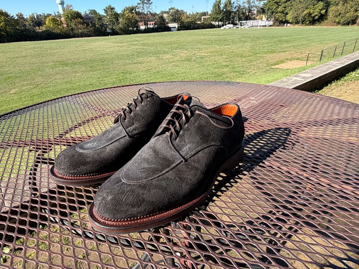 Photo by bbart on October 16, 2025 of the Viberg Savoy Split-Toe in Horween Earth Chamois Roughout.