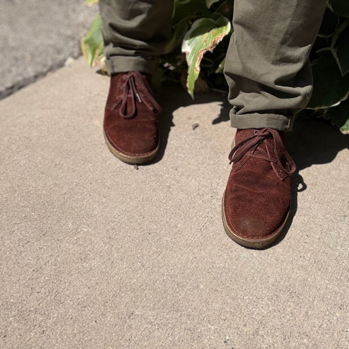 Photo by rigglethor on August 25, 2025 of the Clarks Desert Boot in C.F. Stead British Tan Suede.
