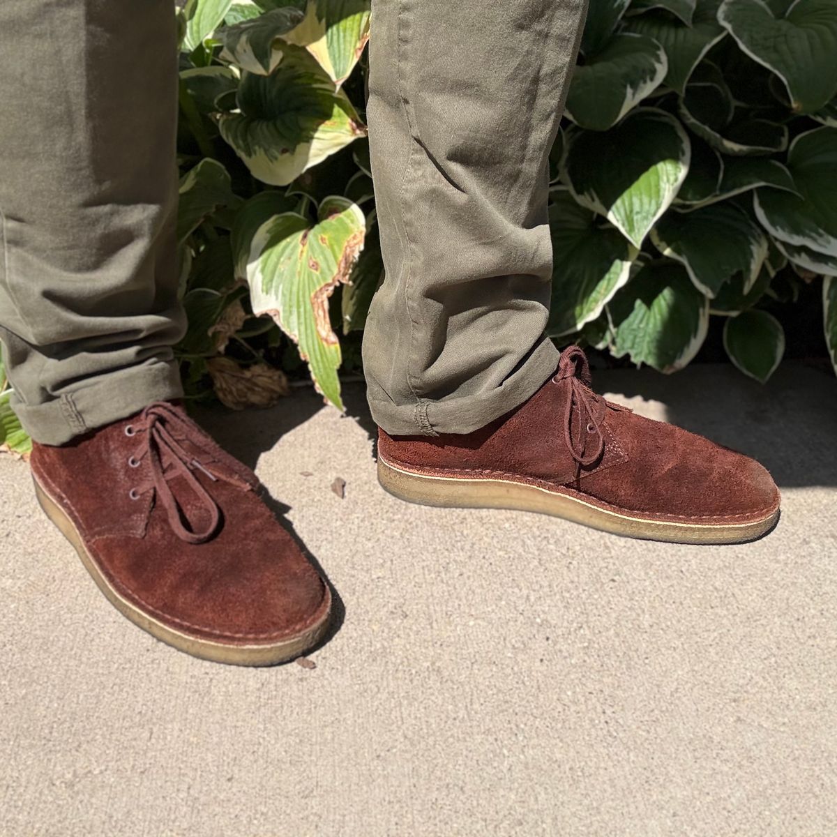 Photo by rigglethor on August 25, 2025 of the Clarks Desert Boot in C.F. Stead British Tan Suede.