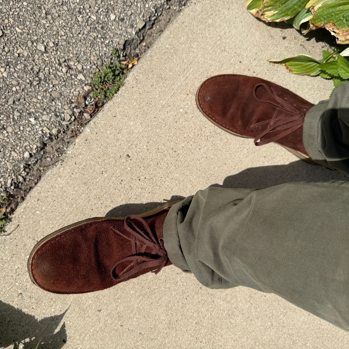 Photo by rigglethor on August 25, 2025 of the Clarks Desert Boot in C.F. Stead British Tan Suede.