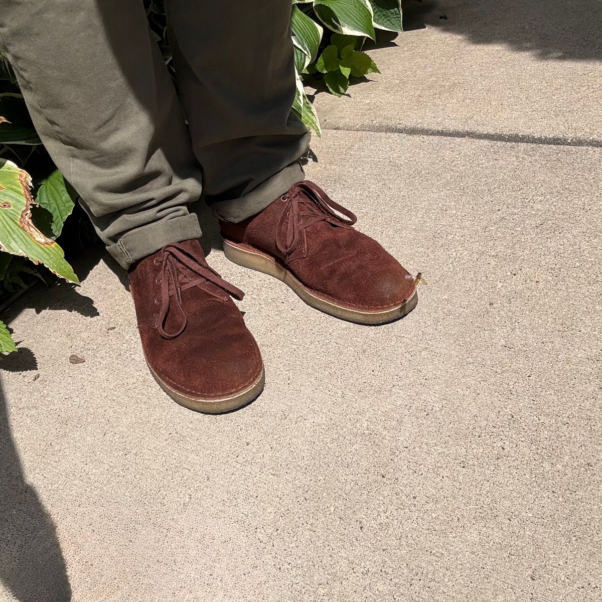 Photo by rigglethor on August 25, 2025 of the Clarks Desert Boot in C.F. Stead British Tan Suede.