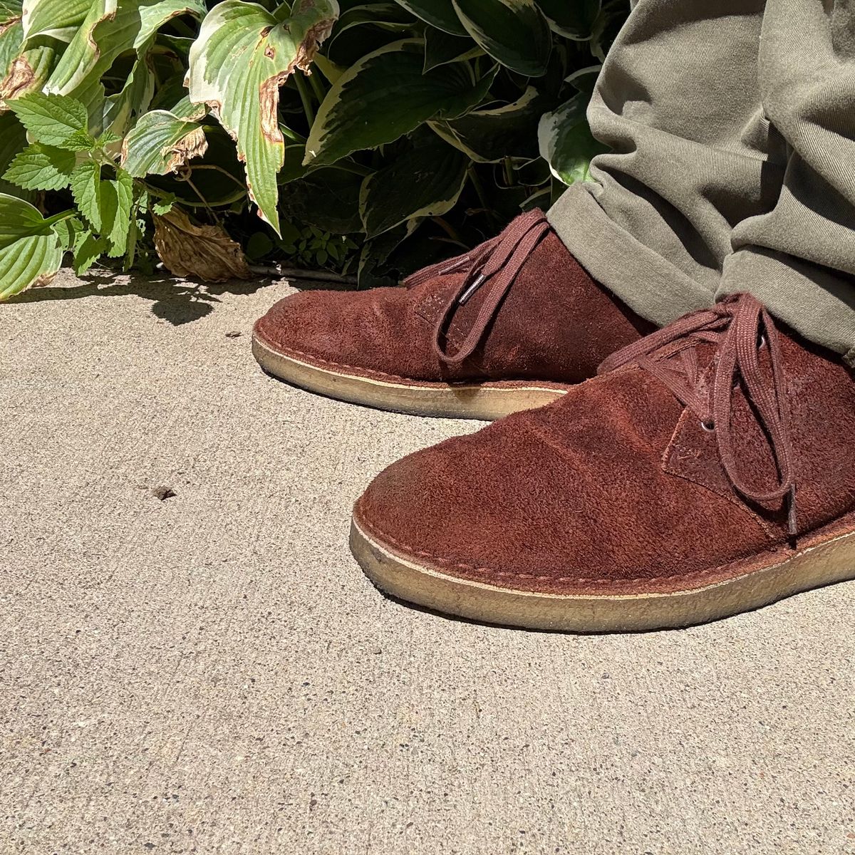 Photo by rigglethor on August 25, 2025 of the Clarks Desert Boot in C.F. Stead British Tan Suede.
