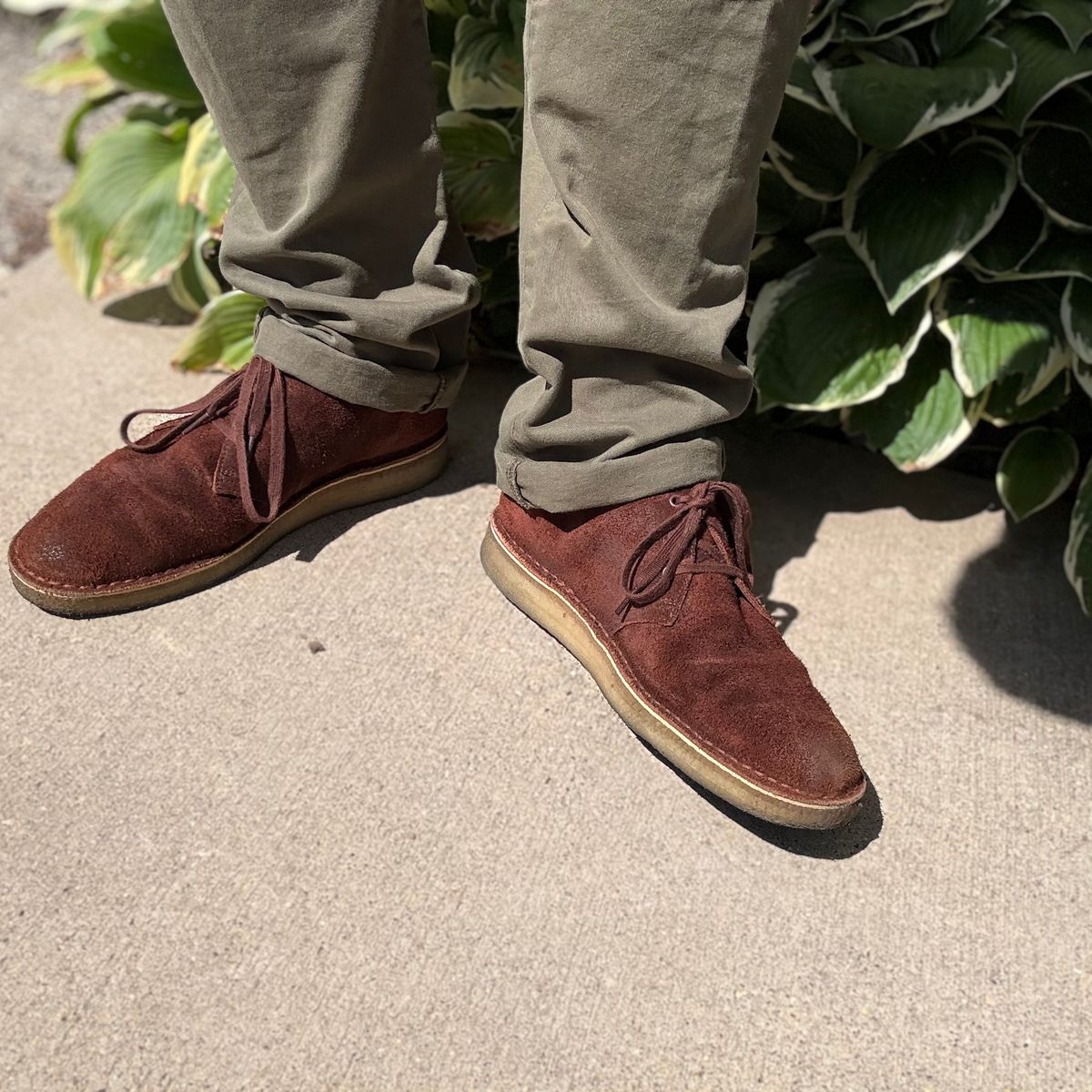 Photo by rigglethor on August 25, 2025 of the Clarks Desert Boot in C.F. Stead British Tan Suede.