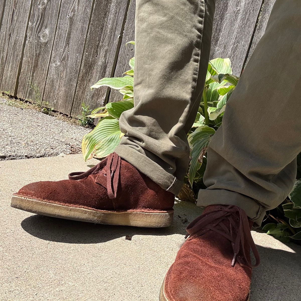 Photo by rigglethor on August 25, 2025 of the Clarks Desert Boot in C.F. Stead British Tan Suede.